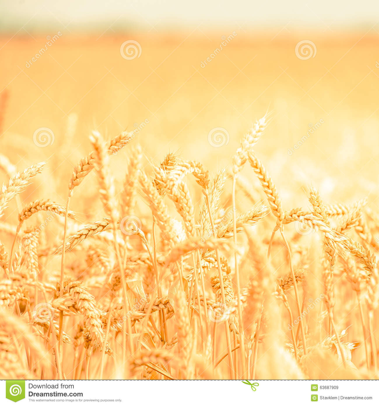 英亚官网首页_银川一女子刚满18岁瞒着父母为整容贷款(图4) 英亚官网首页