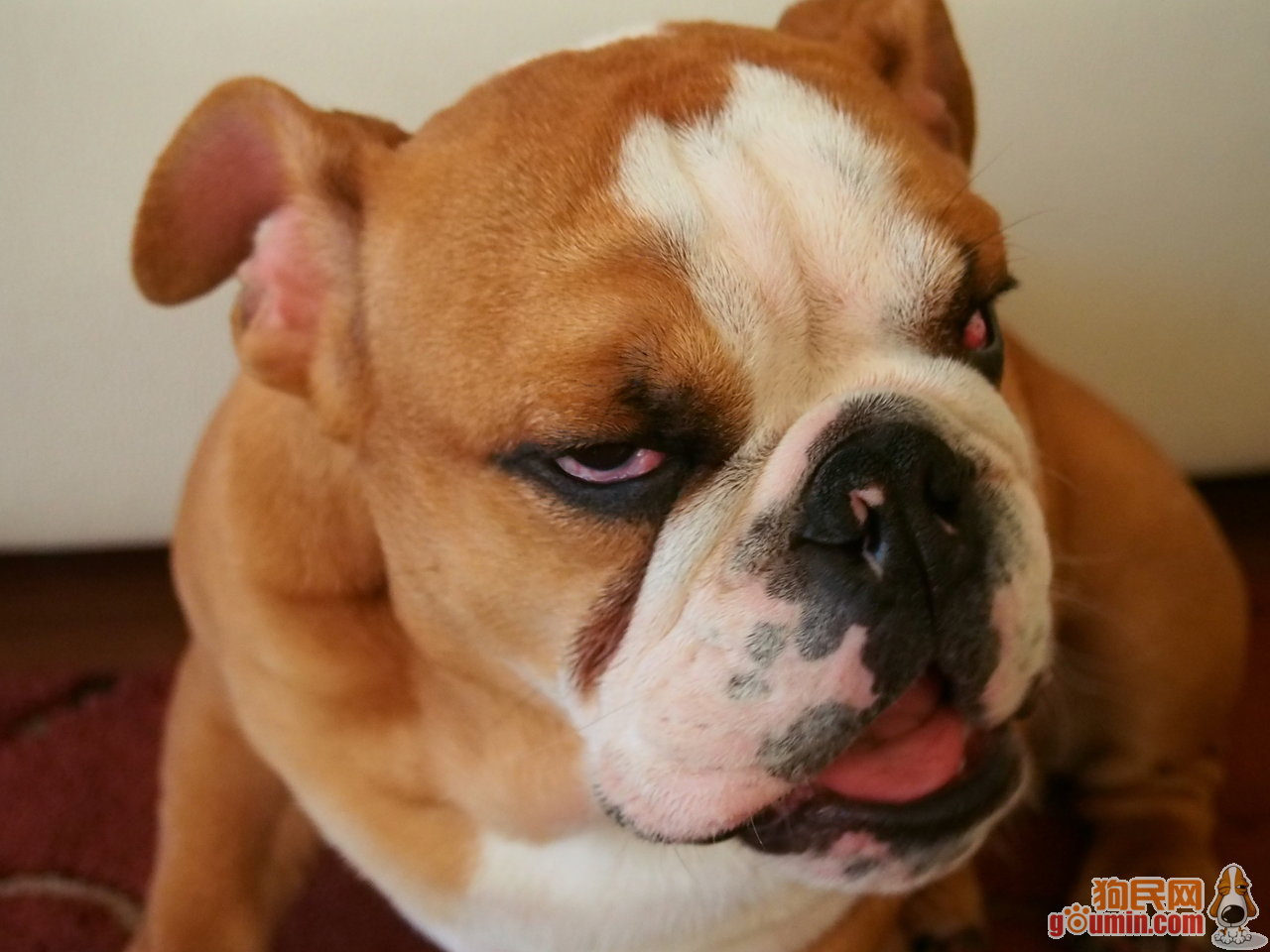 到西藏怎样预防高原反应 高原反应怎么办 高原反应吃什么药|英亚官网首页(图1) 英亚官网