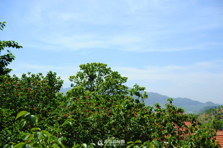 中国整形医师或将成为美整形外科学会主要聘请对象:英亚官网首页(图2) 英亚官方网站