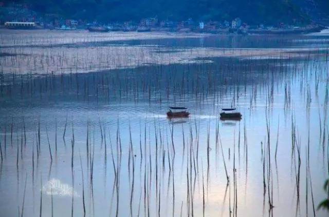 【英亚官网】维美整形网告诉你如何让直男们了解整形,让仙女了解世界“杯”(图2) 英亚官网