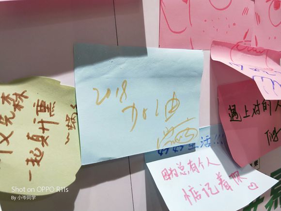 各路大V云集美丽文化论坛,定义“美女标准”:英亚官网(图1) 英亚官方网站