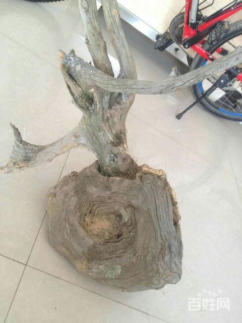 英亚官网首页-最不推荐的家用美容仪,是否你也交过“智商税”?(图1) 英亚官网