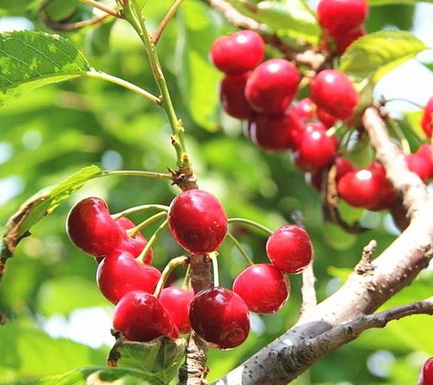 “英亚官网”安徽省:多部门联动惩治环保食药安全犯罪(图3) 英亚官网