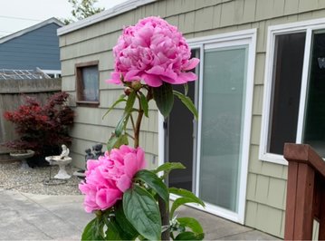 《高达》中“神棍”附体机师盘点 自爆不死徒手拆高达‘英亚官网’(图1) 英亚官方网站