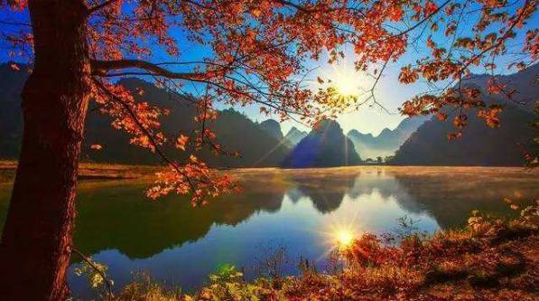 命运守护夜剧场版动画周边Lancer限量推出 14000日元_英亚官网首页(图1) 英亚官方网站