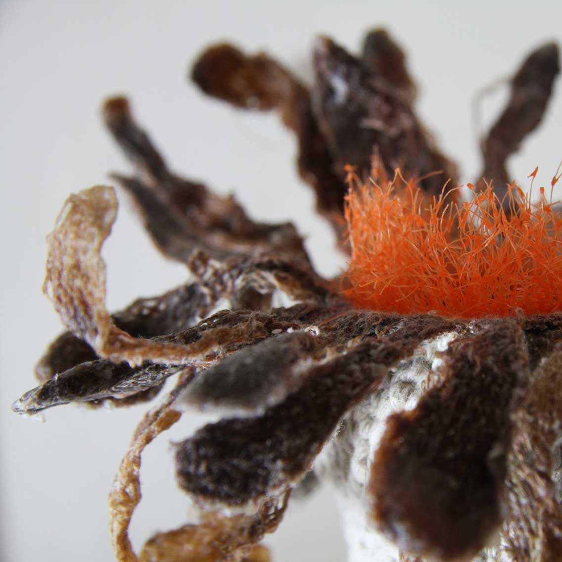 葡萄糖的化学式 确定化学式的几种方法“英亚官方网站”(图1) 英亚官网