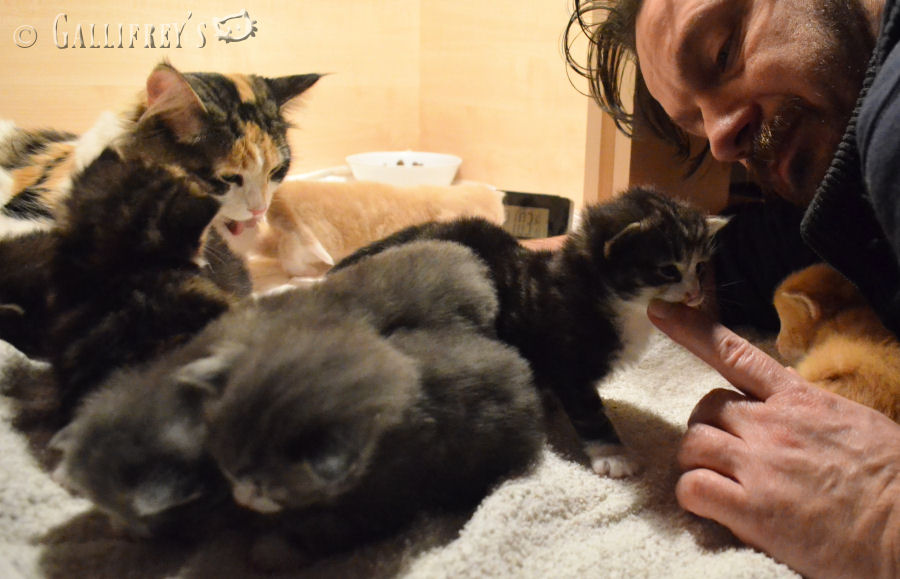 热玛吉模特火热征集中:英亚官网首页(图2) 英亚官网