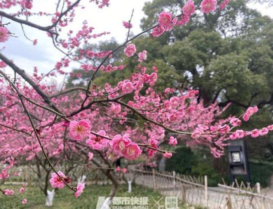 广元堂古方熬阿胶片 滋阴补血|英亚官网首页(图2) 英亚官网