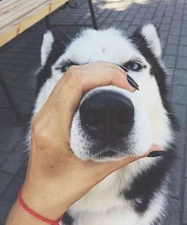 英亚官方网站:这6个激光美容项目 总有一款适合爱美的你(图1) 英亚官方网站