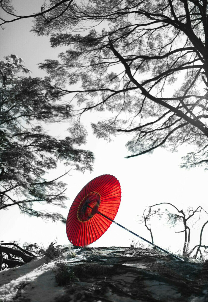 【整形材料科普】带你走进医美中面部假体大全的世界-英亚官网首页(图1) 英亚官方网站