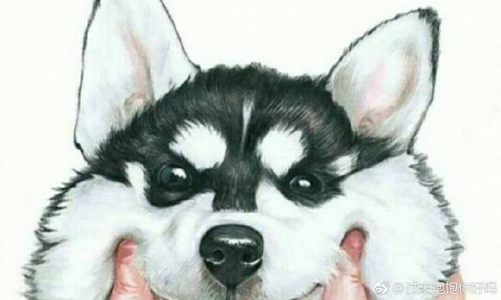 【整形人气】为眼部整形注入新的技术特点的何玮医生-英亚官网(图2) 英亚官网