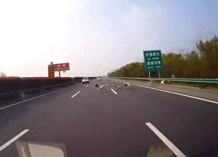 《东京食尸鬼》真人电影中文预告 国内有望上映|英亚官网首页(图2) 英亚官方网站