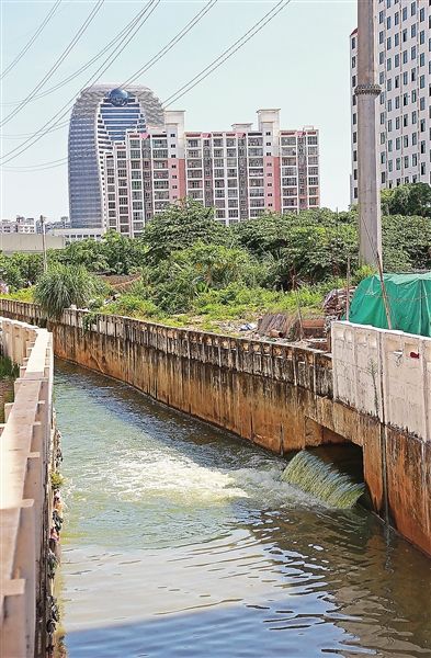 《海贼王》凯多声优公布 老前辈玄田哲章倾情出演‘英亚官方网站’(图2) 英亚官方网站