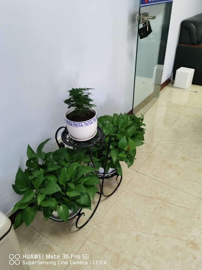 真人版“男芭比”准备第58次整容 这次是赴印度改变眼珠颜色:英亚官网(图3) 英亚官方网站