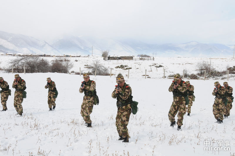 英亚官网首页_金奥力牌绿茶肉碱胶囊--葆宁之家 提高机体免疫力延缓衰老(图4) 英亚官网